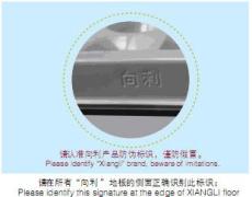 广西河池防静电地板向利PVC-FS662 高度20cm
