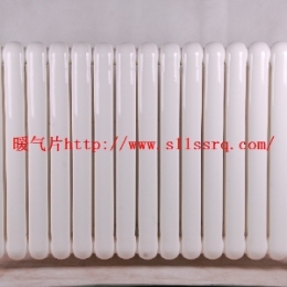 鋼制柱式散熱器 品牌鋼制柱式散熱器