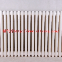鋼制散熱器 大品牌內(nèi)防腐鋼制散熱器