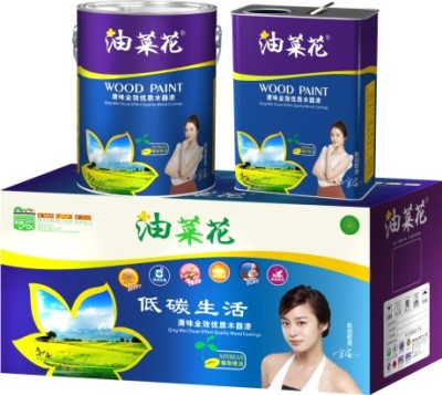 中国十大健康漆品牌 高品质半哑白面漆低碳生活木器漆