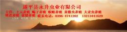 漯河土元養(yǎng)殖 周口土元養(yǎng)殖 開封土元養(yǎng)殖