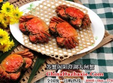 大闸蟹虽然美味 但是有些人是不适合吃的