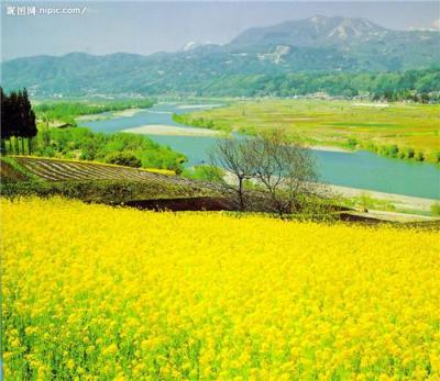 青岛防水公司-青岛屋顶防水-青岛外墙防水