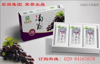 西安宏府葡萄基地誠招經(jīng)銷商
