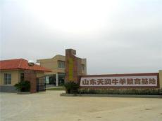 山东菏泽郓城县唯一一个女强人正规养殖场