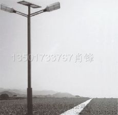 上海梁氏太阳能道路灯安装