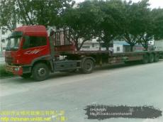 深圳13米平板車拖車出租