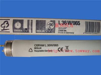 OSRAM L 36W/965 BIOLUX 印刷光源