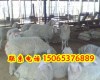 新疆有小尾寒羊养殖场吗