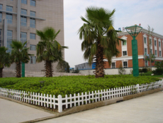 杭州PVC草坪塑钢护栏