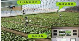 物联网农业智能控制系统