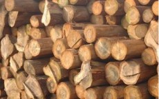木材稀缺成本增加