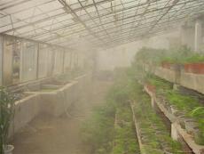 人造霧-花卉加濕
