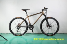 2013年索罗门山地自行车X521新款上市