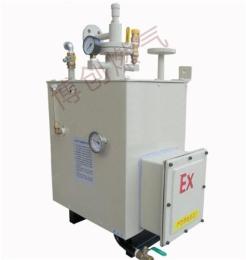 BCD型气化器