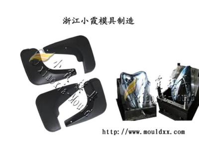 理想中的擋泥板注塑模