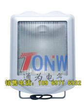 GZ9700高效节能泛光灯 GZ9700 GZ9700